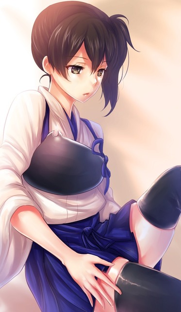 艦隊これくしょんより加賀のイラスト　50枚 30