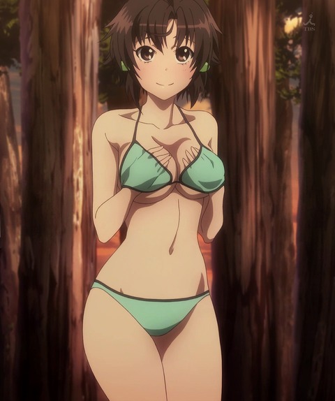 アニメ画像色々　その44　50枚 26