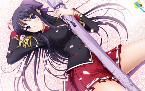 ワルキューレロマンツェの画像　50枚 50