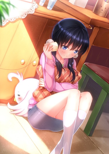 たまこまーけっとのイラスト　50枚 31