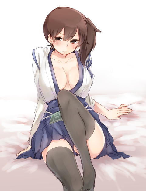 艦隊これくしょんより加賀のイラスト　50枚 6