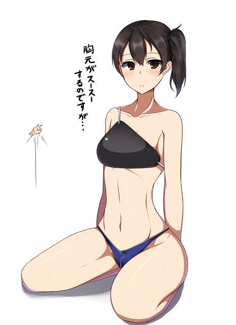 艦隊これくしょんより加賀のイラスト　50枚 17