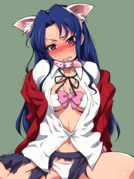 とらドラ！のイラスト　50枚 49