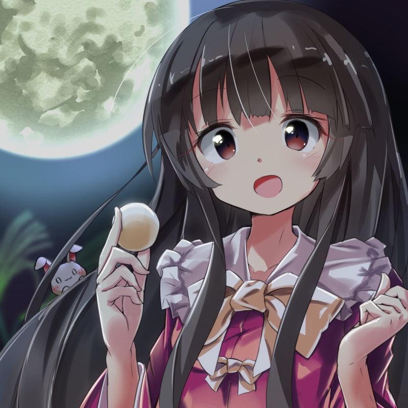 2月10日はニートの日 蓬莱山輝夜とウサギの画像 50枚 東方画像まとめブログ2 2月10日はニートの日 蓬莱山輝夜とウサギの画像 50枚 東方画像まとめブログ2