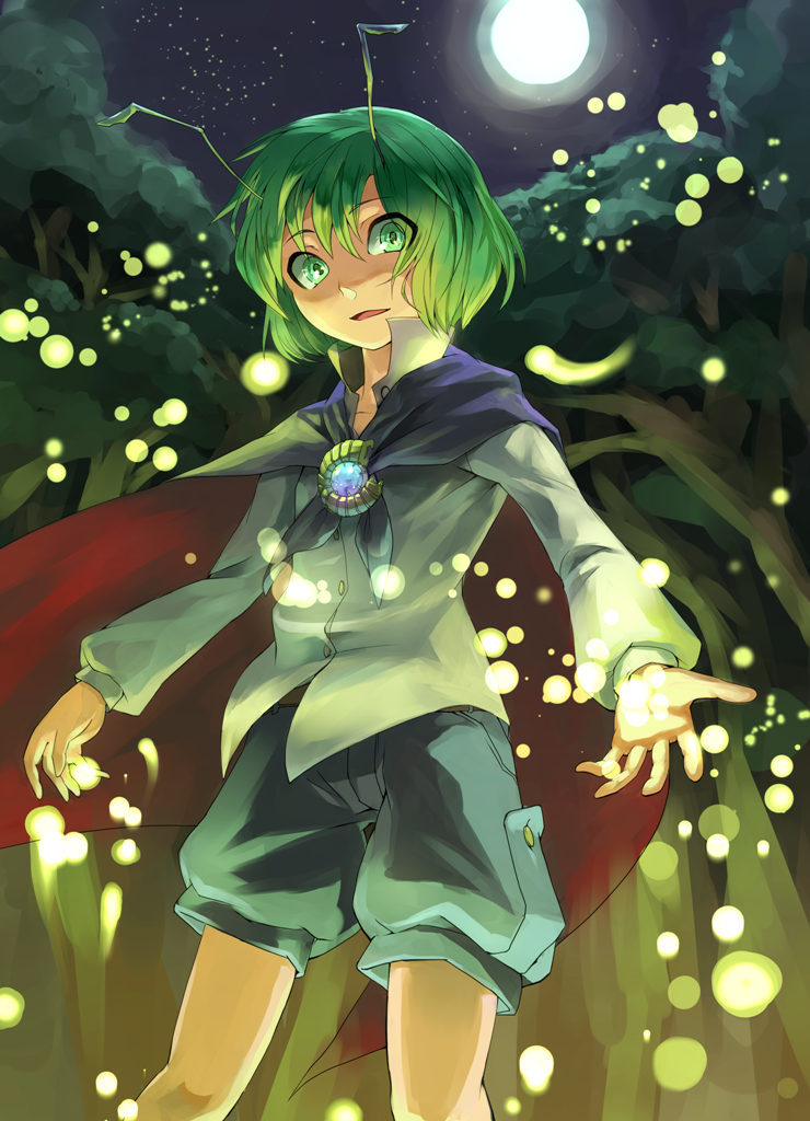 東方画像まとめブログ2 : リグル・ナイトバグ