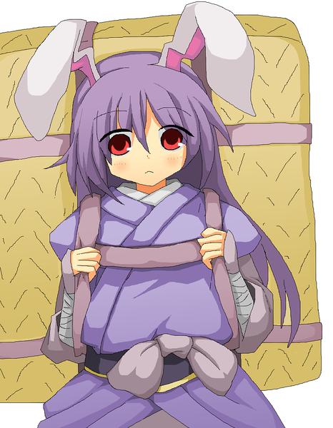 東方画像まとめブログ2 : 鈴奈庵鈴仙の画像 40枚