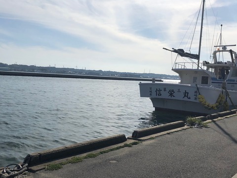 image1