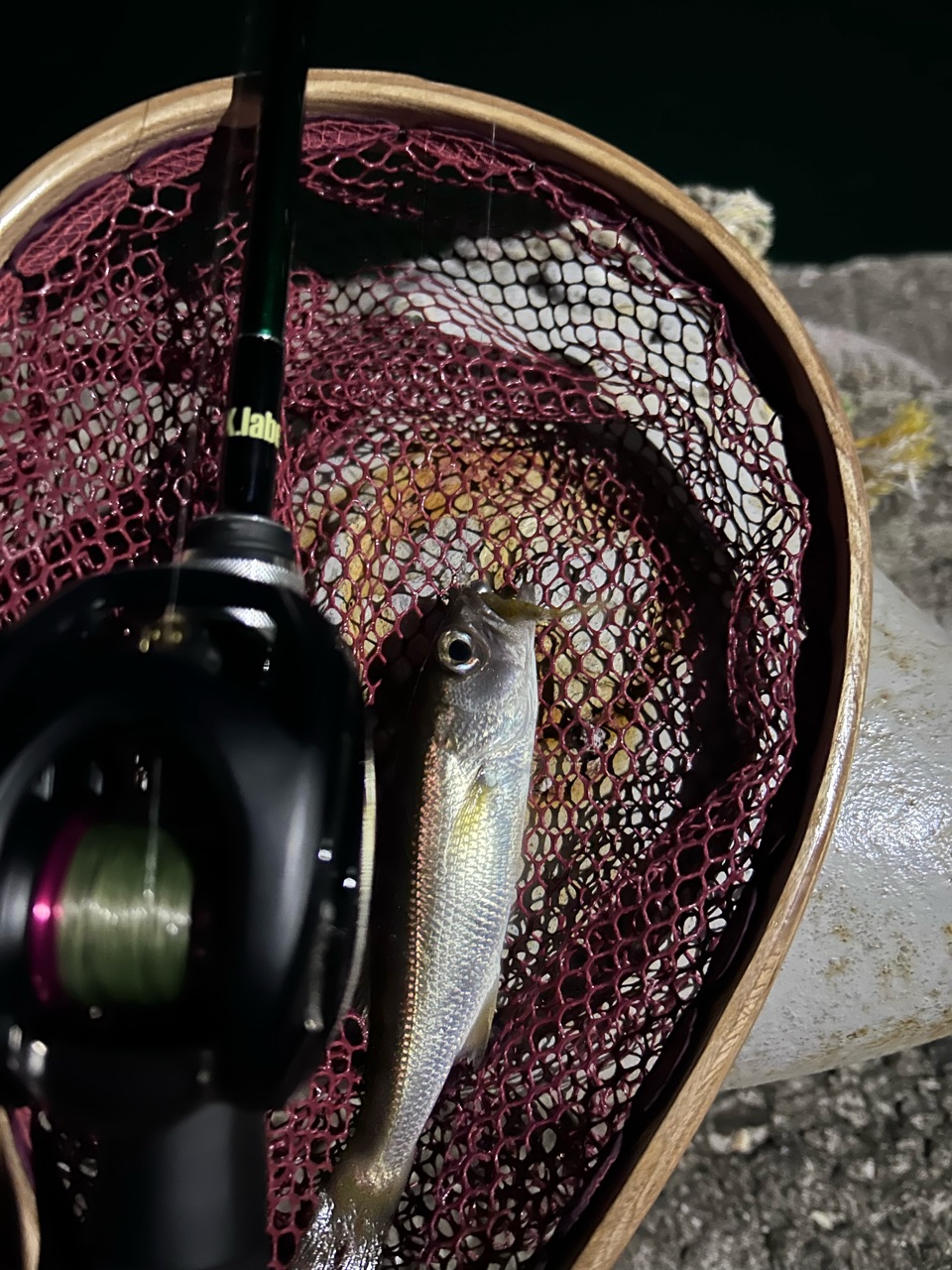 23SS AIR TWでアジングやってみた その1 : ほぼ週刊『Fisherman's Supl