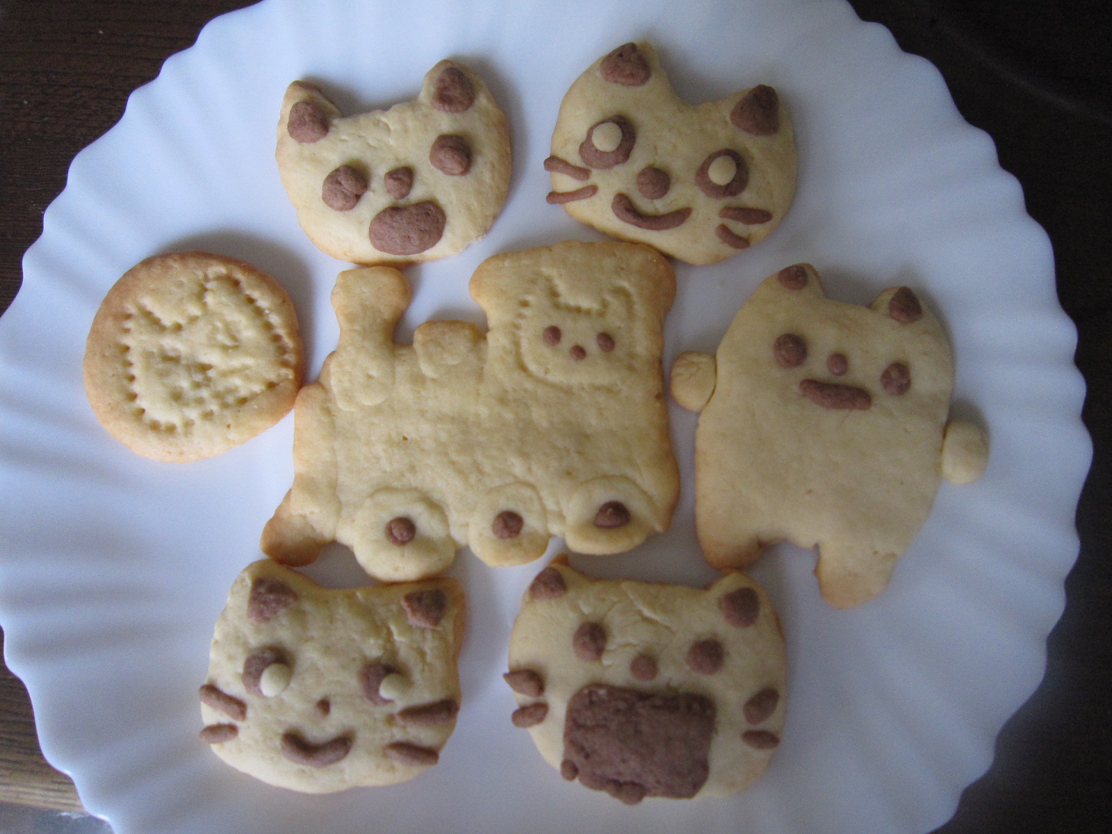 憧れのノンタンクッキー 暮らしの息吹