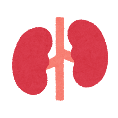 body_icon_09_jinzou