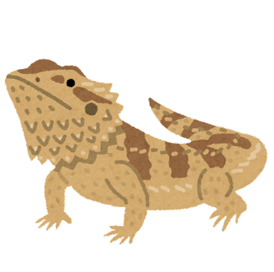 lizard_futoagohigetokage