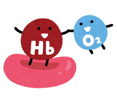 body_hemoglobin_o2_ketsugou