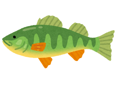 fish_yellow_perch