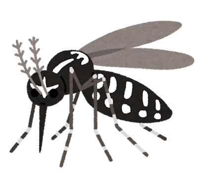 bug_hitosujishima_ka