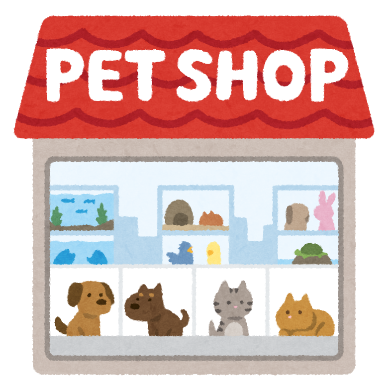 Pet shop always on my. Pet shop здание. Рисунок Pet shop здание. Petshop склад. A Pet shop Flash Card.