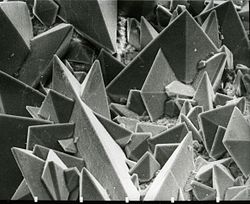 250px-Surface_of_a_kidney_stone