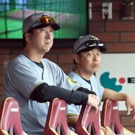 阪神タイガース