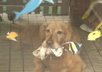 higNAZzAeVMOWJ5_2peMQ_285