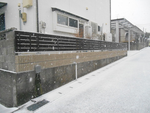 DSCN1268