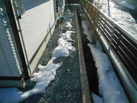 DSCN1441