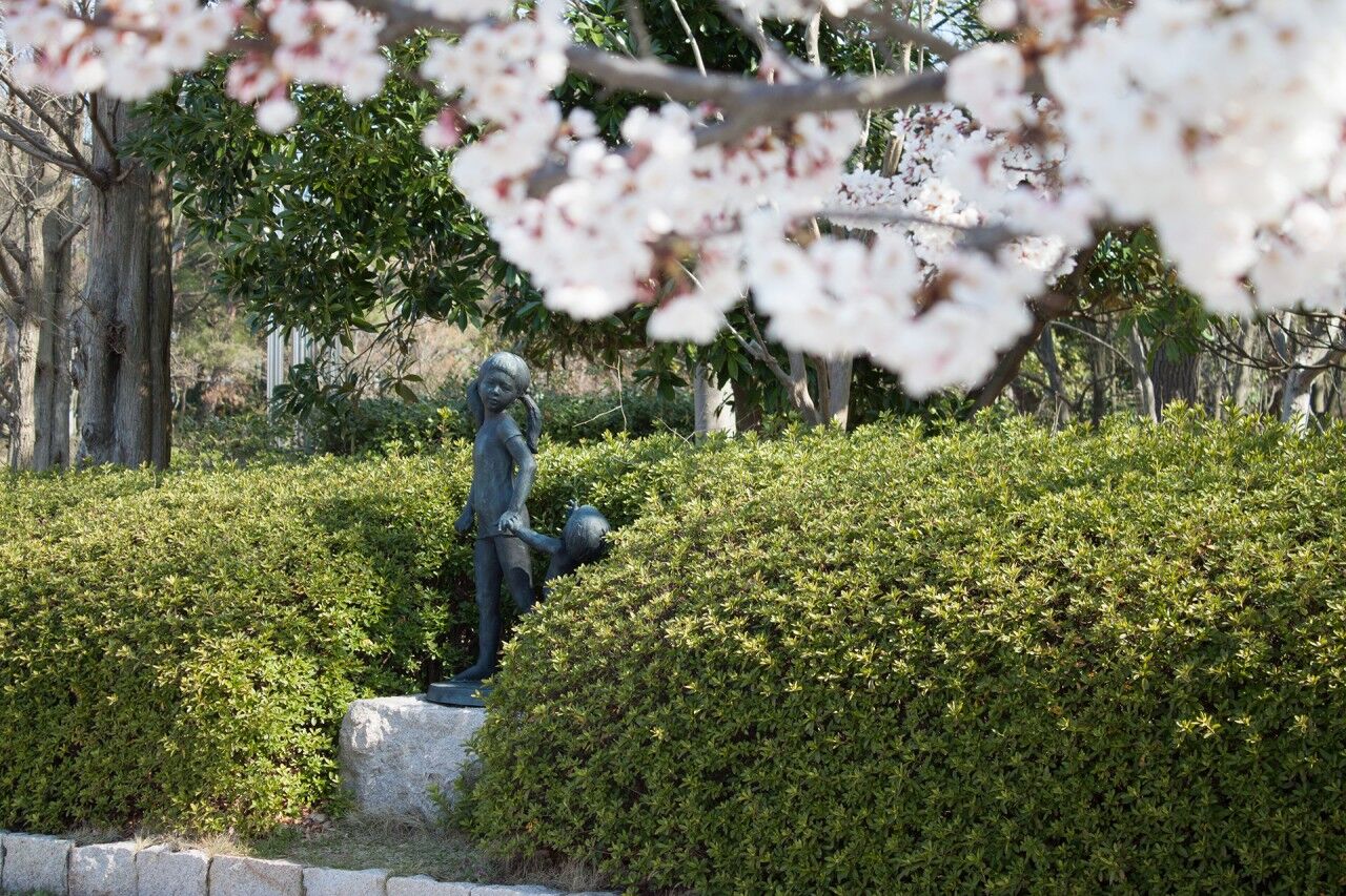 新潟県立鳥屋野潟公園の桜