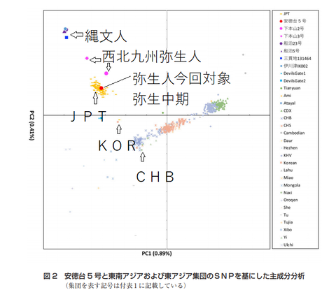 遺伝学論文 読書抜粋ノートブログ