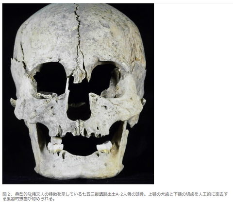 読書抜粋ノートブログ
