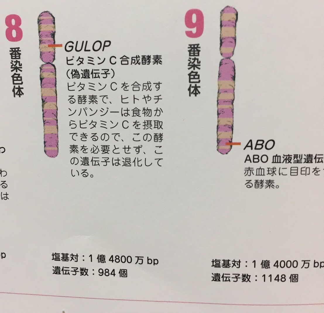 読書抜粋ノートブログ