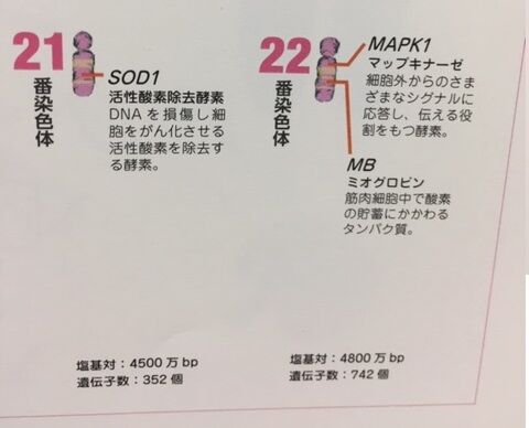 読書抜粋ノートブログ