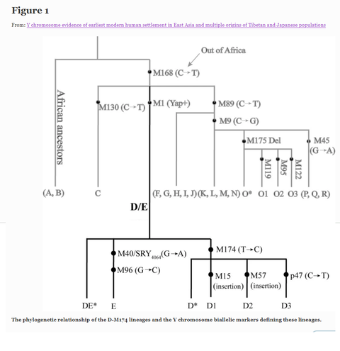 遺伝学論文 : 読書抜粋ノートブログ