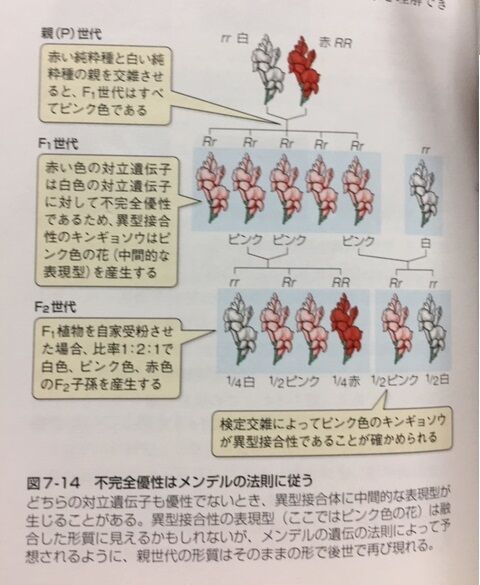 読書抜粋ノートブログ
