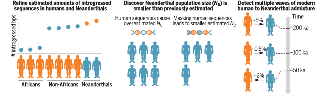 Recurrent gene flow between Neanderthals and modern humans over the ...