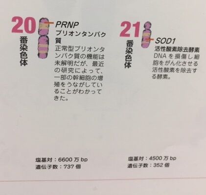 読書抜粋ノートブログ