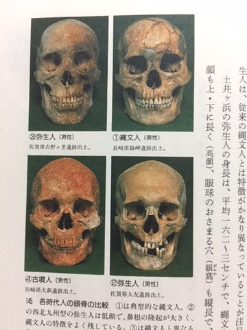 読書抜粋ノートブログ