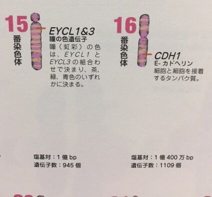 読書抜粋ノートブログ