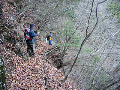 川苔山 Exitarium 川苔山 Exitarium