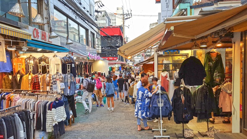 韓国でお勧めする場所ならここです ノラネコの韓国も一緒