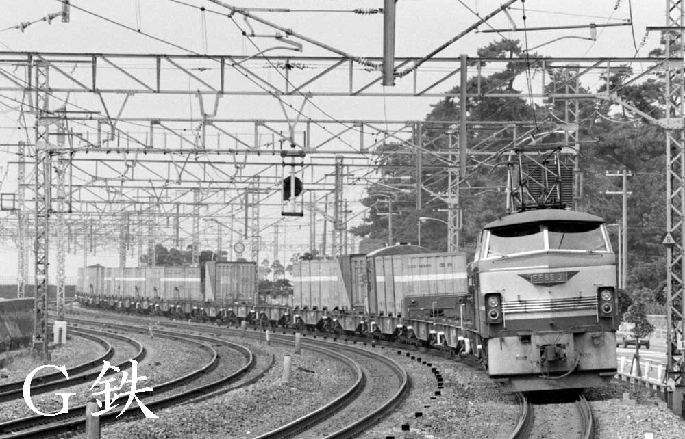 日本画　車海老 hqdefault.jpg