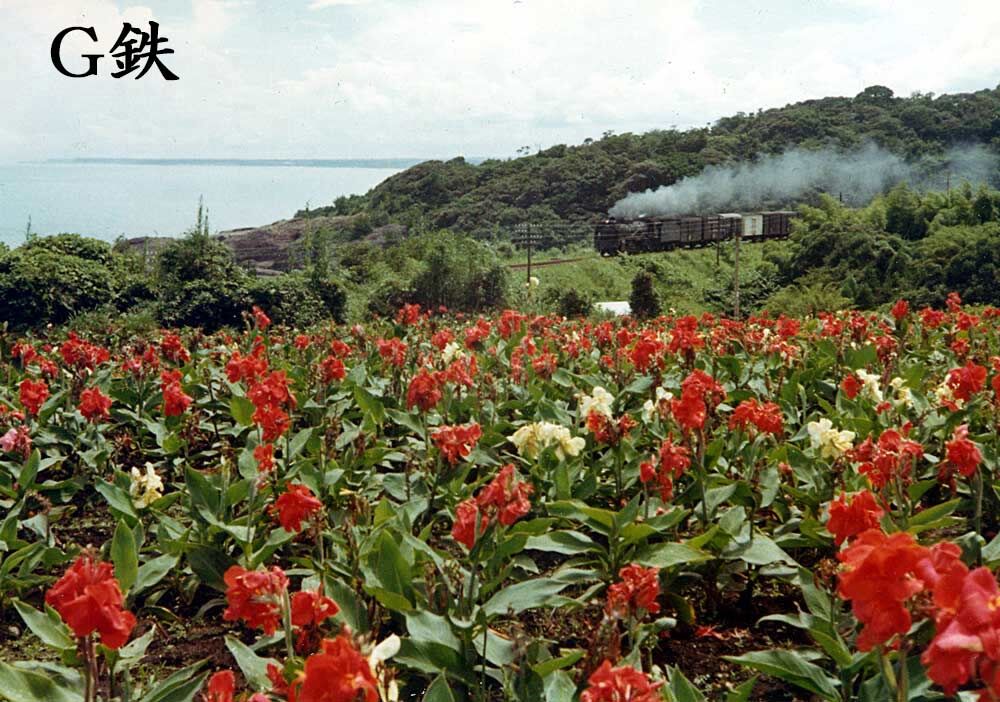 G鉄グラフィティ
	  絶景！お立ち台　日向灘大展望　日豊本線　美々津　1970年7月