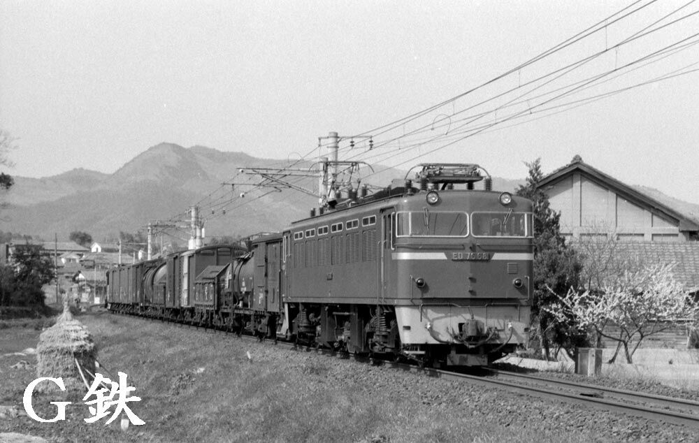 1970年代の日豊本線を走るED76牽引貨物列車 : G鉄グラフィティ