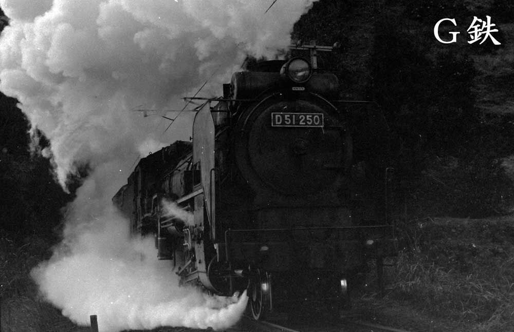 南延岡機関区 D51大図鑑 その10 D51250 : G鉄グラフィティ