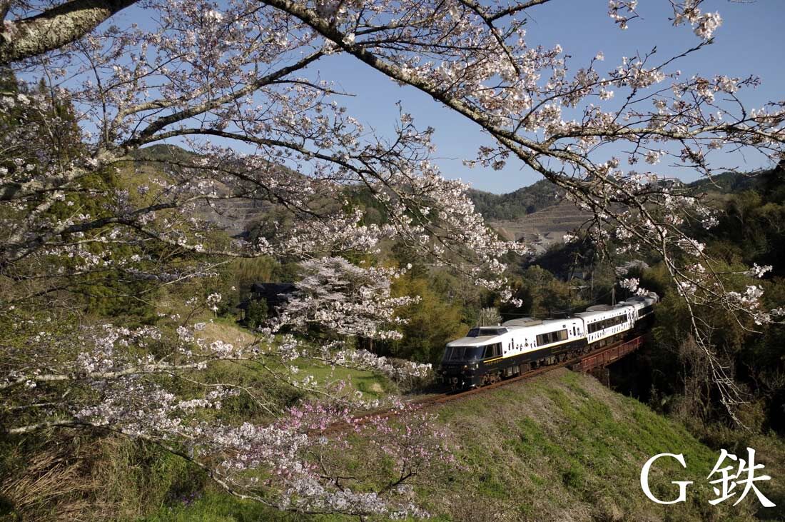 キハ183系特急あそぼーい！ 桜花爛漫の春を走る : G鉄グラフィティ