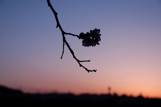 120413-DSC_0095