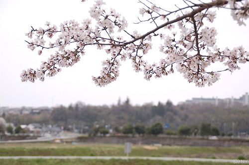 120413-DSC_0043