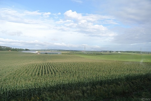 120904-DSC_0891