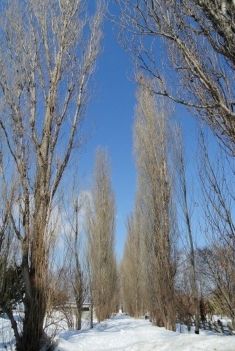 120314-DSC_0112