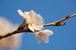 120420-DSC_0057