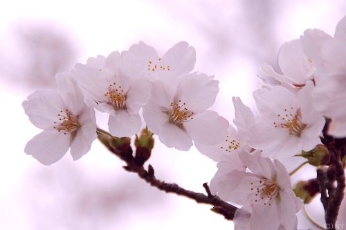 120413-DSC_0044