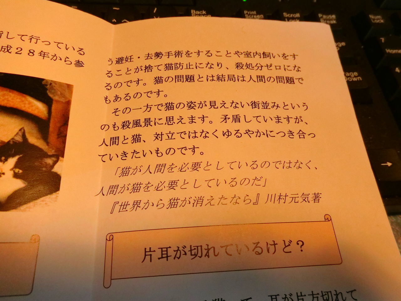 CIMG3718