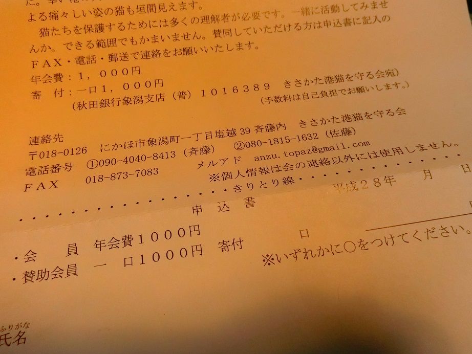 CIMG3725